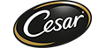 Logo-Cesar